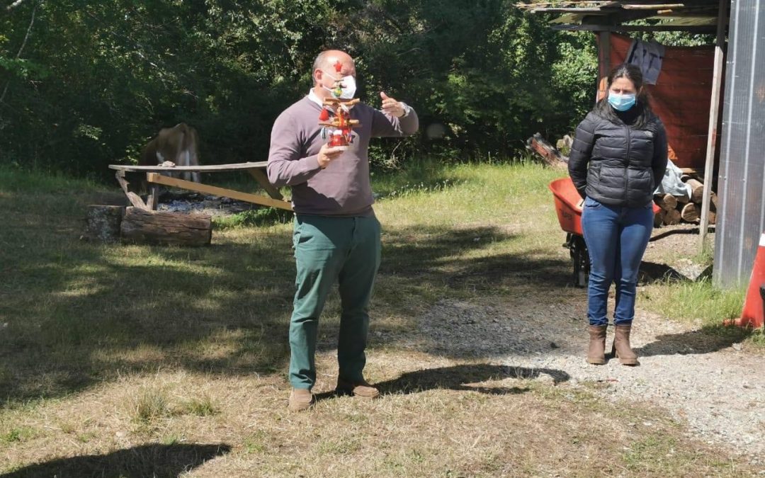 Organizaciones y Adultos Mayores de diferentes sectores recibieron las 100 réplicas del árbol navideño de Panguipulli