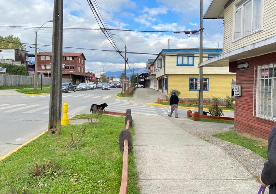 CONCEJO MUNICIPAL APRUEBA POSTULACIÓN DEL MEJORAMIENTO DEL ESPACIO PÚBLICO DE LA CALLE BERNARDO O’HIGGINS DE PANGUIPULLI