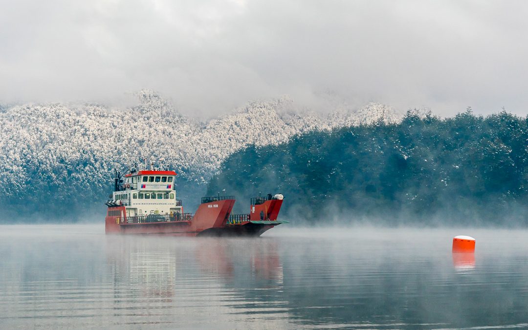 MUNICIPALIDAD DE PANGUIPULLI VISITARÁ PUERTO PIREHUEICO CON DIVERSOS SERVICIOS