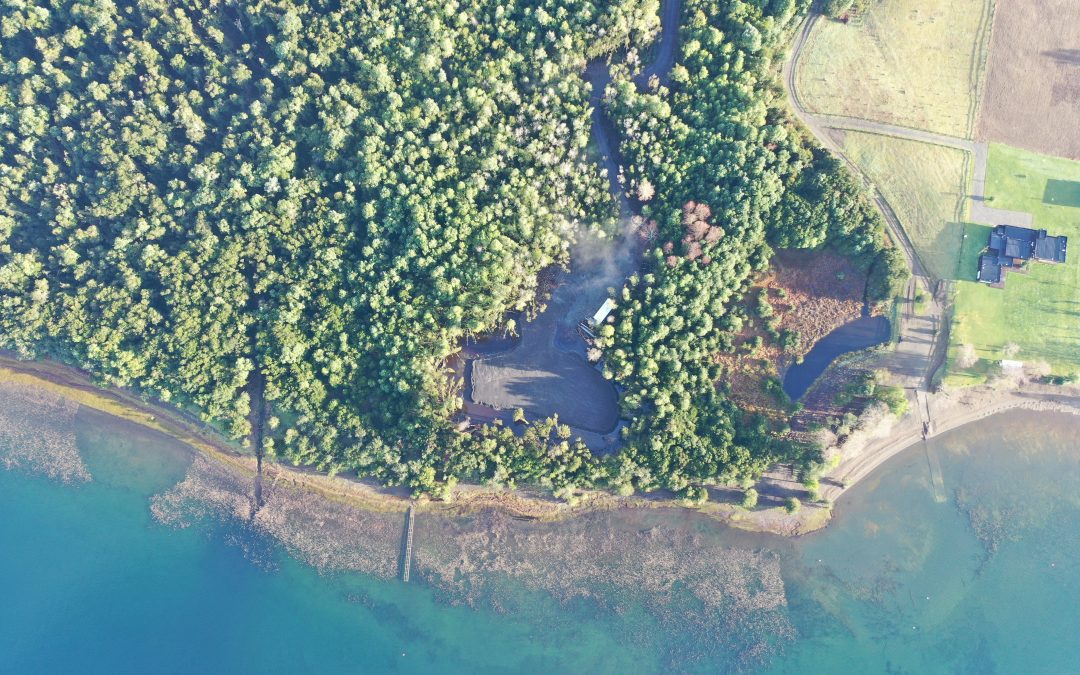 Municipalidad de Panguipulli solicitó investigación por intervención en Humedal de Huitag