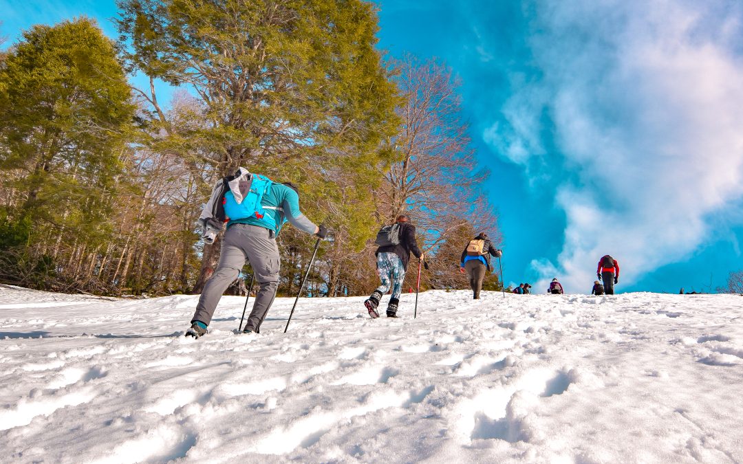 columna de opinión: Turismo, el futuro de Panguipulli