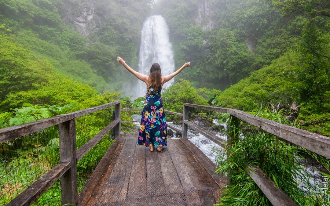 Municipalidad de Panguipulli realiza consulta sobre acciones de promoción en Sietelagos