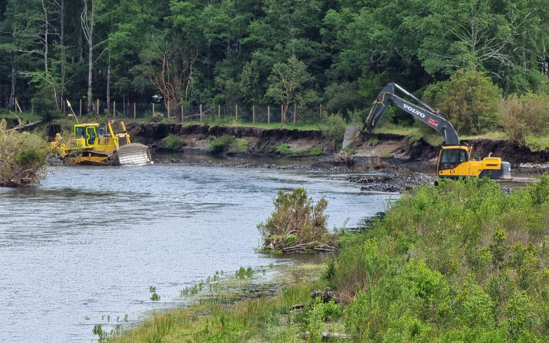 Alcalde de Panguipulli solicita clarificar intervención a río Pellaifa