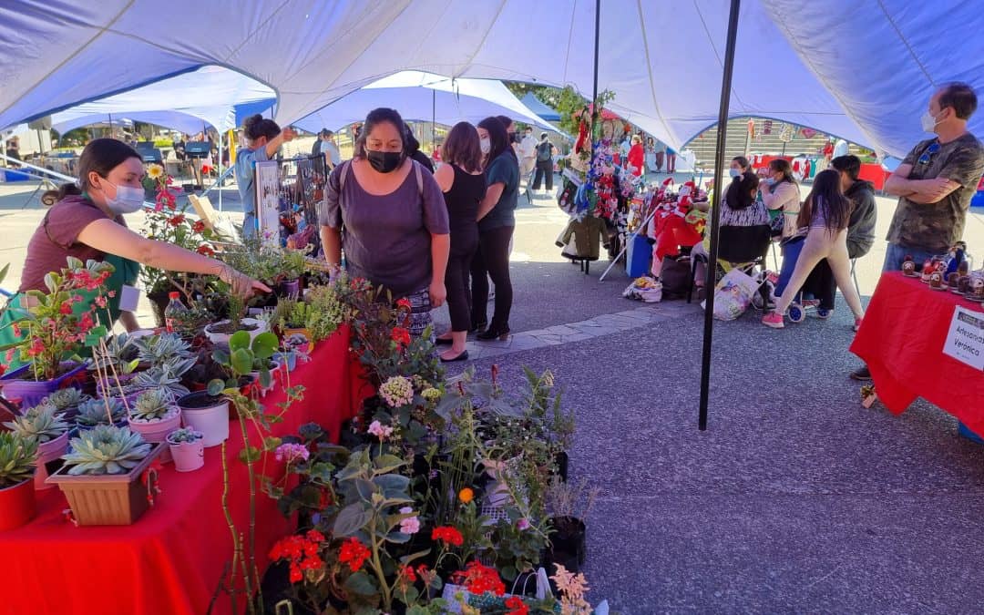 En Panguipulli realizan Quinto Emporio Navideño 2021