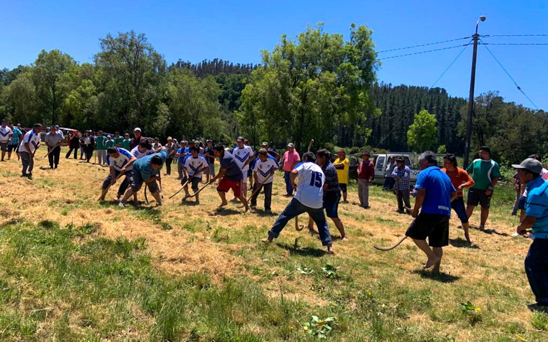 Rogativa Mapuche y Encuentro de Palín dieron inicio a las actividades del 75 aniversario de Panguipulli