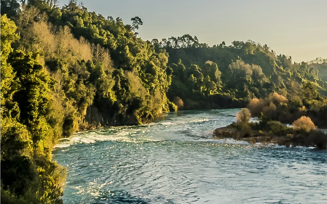 Panguipulli se integrará a la Asociación de Municipalidades Paisajes de Conservación para la Biodiversidad en defensa del río San Pedro