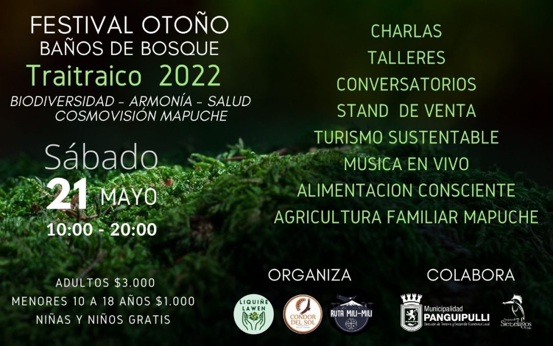 Realizarán Primer Festival Otoño “Baños de Bosques” Traitraico 2022 en Coñaripe
