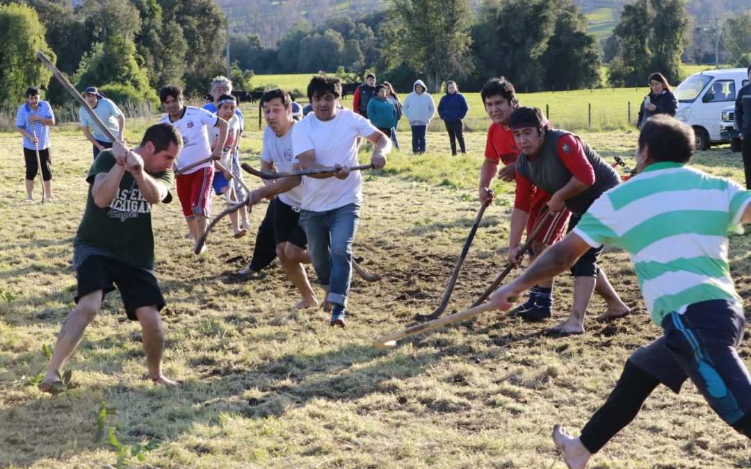 Comunidades de Panguipulli celebran We Tripantu con Encuentro de Palín en Coz Coz
