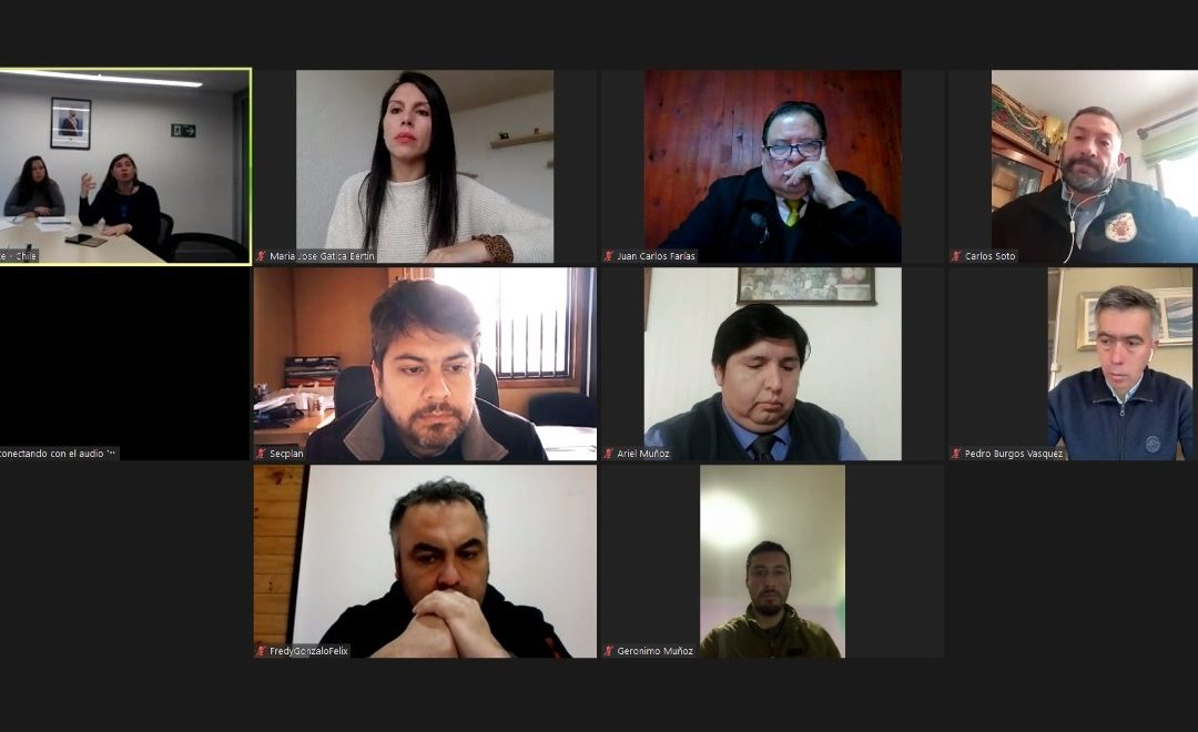 Alcalde de Panguipulli sostuvo reunión online con Ministra del Deporte