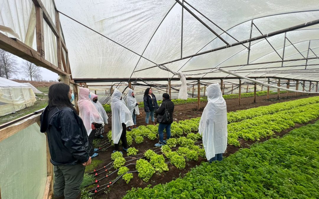 Agricultores que trabajan con la Oficina Municipal Campesina participaron de un Día de Campo de Buenas Prácticas Agrícolas en Huerquehue