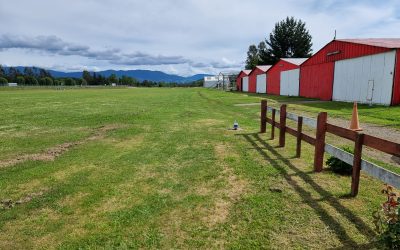 Alcalde Pedro Burgos Vásquez y director regional de Aeropuertos confirman mejoras al Aeródromo Municipal de Panguipulli