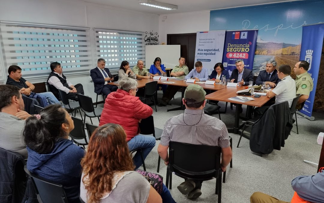 Realizaron encuentro birregional de seguridad para zona Coñaripe-LicanRay