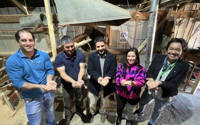 MUNICIPALIDAD APOYARÁ A EMPRENDEDORES LOCALES PARA POSTULACIONES AL FONDO CAPITAL SEMILLA 2023