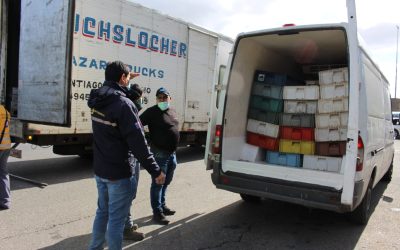 MUNICIPALIDAD DE PANGUIPULLI HACE UN LLAMADO A COMPRAR PESCADOS Y MARISCOS EN EL COMERCIO ESTABLECIDO EN SEMANA SANTA