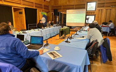 Municipalidad de Panguipulli logra aprobación de aumento de presupuesto del contrato mejoramiento costanera de Panguipulli