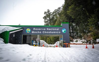 Con la llegada de la nieve se llevará a cabo la activación de temporada a los pies del volcán Mocho-Choshuenco