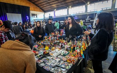 Más de 500 personas dieron vida y participaron de la primera versión de la Expo Anime en Panguipulli