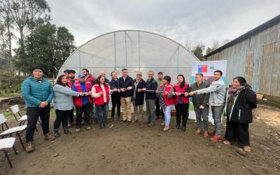 Municipalidad de Panguipulli y Conaf inauguraron nuevo vivero comunal para plantas nativas