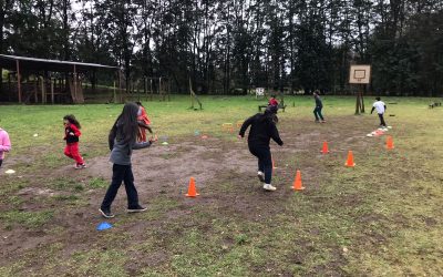 Niñas, niños y jóvenes participaron de cuatro talleres deportivos gratuitos en la comuna de Panguipulli
