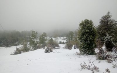 Municipalidad de Panguipulli decreta emergencia en zona cordillerana de la comuna por intensas nevadas
