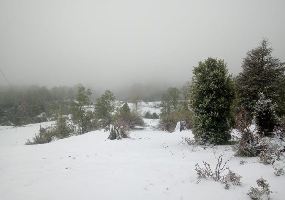 Municipalidad de Panguipulli decreta emergencia en zona cordillerana de la comuna por intensas nevadas