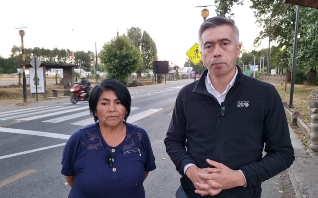 Alcalde de Panguipulli y Junta de Vecinos de villa Palguín exigen a la Dirección de Vialidad la instalación de lomos de toro en el sector
