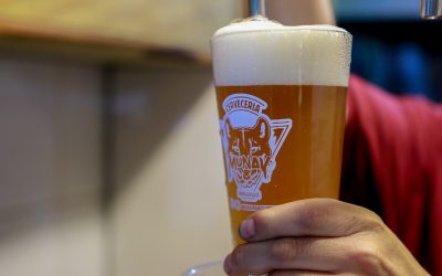 5° Expo de la Cerveza Artesanal Verano 2024 reunirá a 15 marca locales en Panguipulli