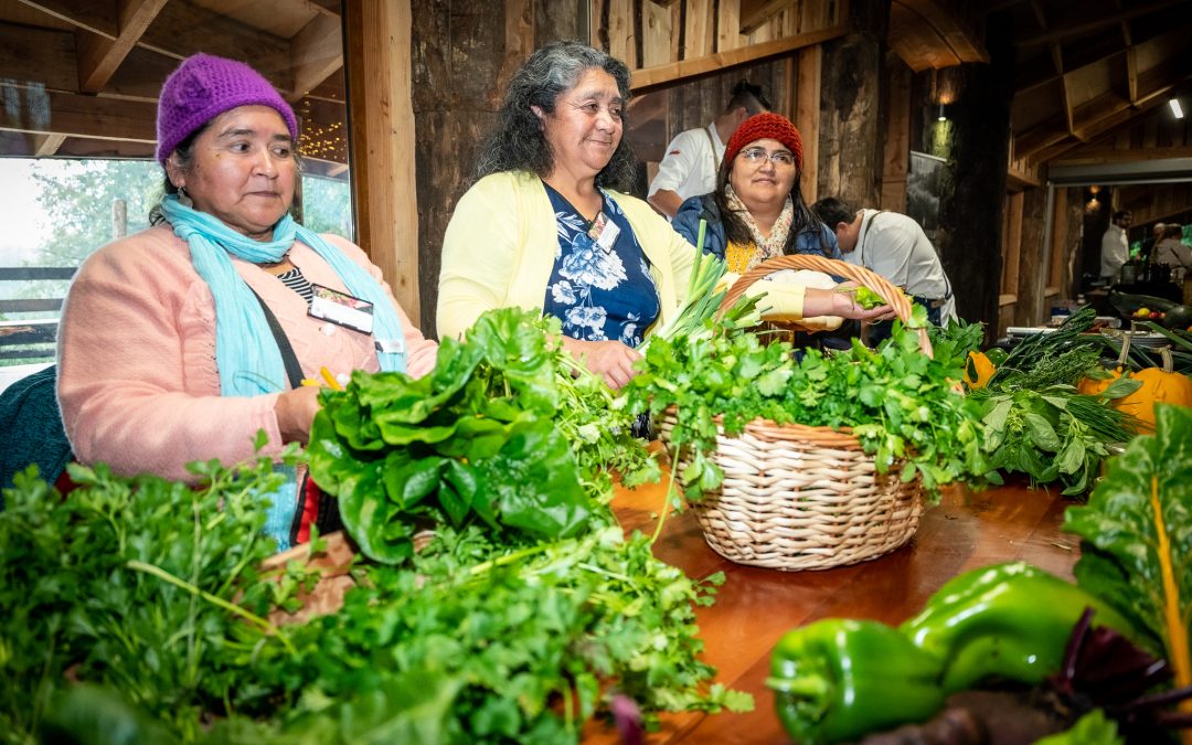 Feria Campesina 2024 reunirá a más 30 emprendedores locales en el Centro de Ferias de Panguipulli