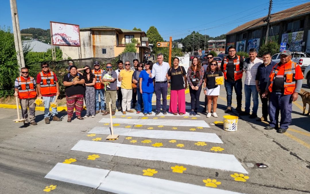 Municipalidad de Panguipulli pintó huellas en 5 pasos peatonales de la ciudad