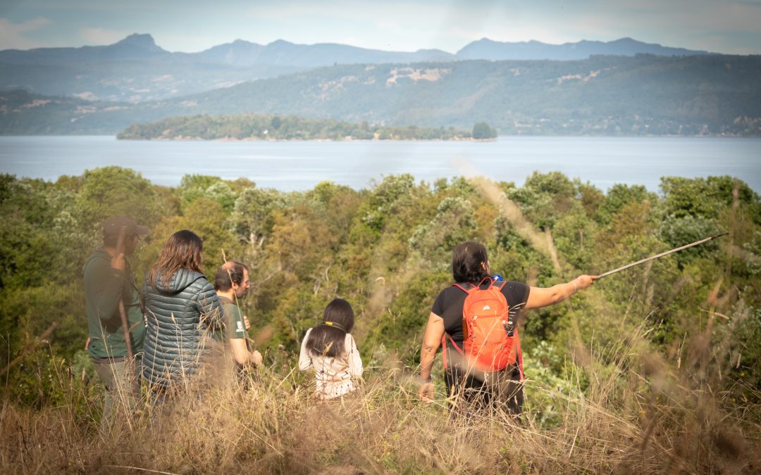 Revista Domingo de “El Mercurio” visita Panguipulli Sietelagos para conocer las atractivas experiencias turísticas en vacaciones de invierno.