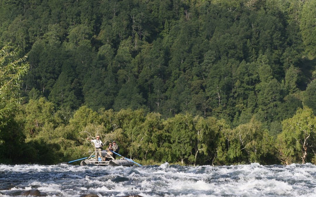 Inicio de Temporada de Pesca en la Región de Los Ríos: 11 de octubre