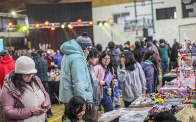 Municipio realizó tercera Expo Anime: Qué Onda! en el gimnasio municipal de Panguipulli: 19 stand del sur de Chile participaron