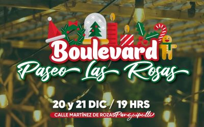 ¡Ven a celebrar la Navidad en el Boulevard Paseo Las Rosas!