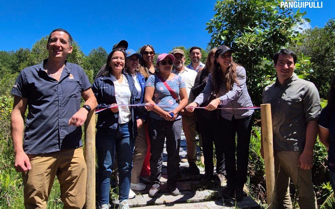 Portal Cua Cua: un renacer natural y cultural en el corazón de Huilo Huilo