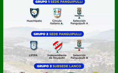 ¡Este es el fixture oficial del 8° Mundialito Internacional de Fútbol Infantil Panguipulli 2025!