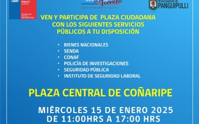 Gobierno en Terreno en Coñaripe contará con la participación de la Policía de Investigaciones