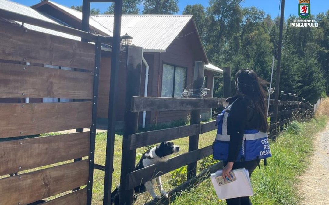 Informe sobre la inaccesibilidad de agua potable en Panguipulli