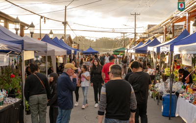 Penúltimo boulevard Paseo de las Rosas: una noche mágica para los más pequeños