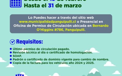 Atención al pago del Permiso de Circulación 2025 en Panguipulli