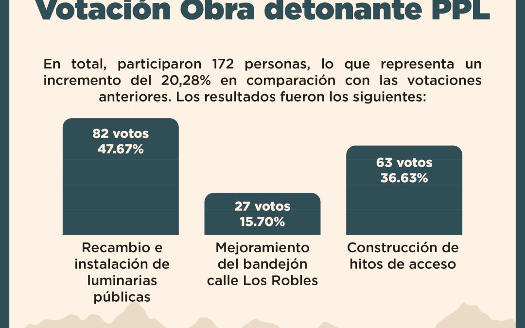 Programa para Pequeñas Localidades de Neltume: iniciamos con la primera obra de alumbrado público