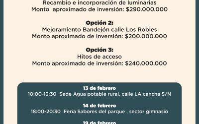 ¡Tú decides el futuro de Neltume!