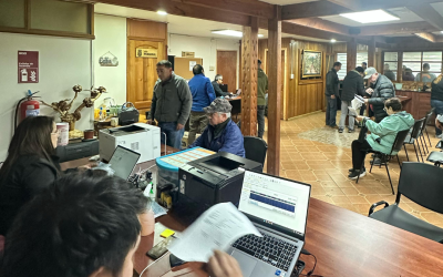 Atención en terreno para el pago de permisos de circulación en Neltume fue un éxito