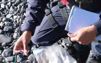 Se realizó fiscalización de pesca recreativa en río Enco y Llanquihue