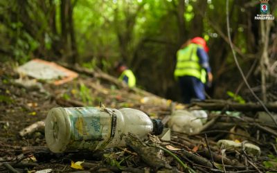 Municipio trabaja por un Humedal Bahía Panguipulli más limpio y seguro luego de 16 años