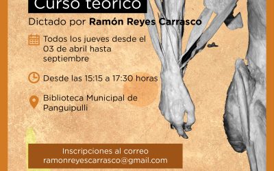 Nuevo curso gratuito en Panguipulli: «Anatomía del miembro superior»