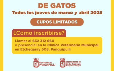 ¡Vacunación gratuita para gatos en Panguipulli!