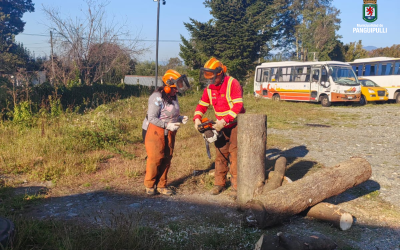 CONAF capacitó a funcionarios municipales para el manejo responsable del bosque nativo y uso seguro de motosierras