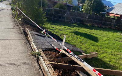 Municipio atiende emergencias por fuertes vientos en Panguipulli