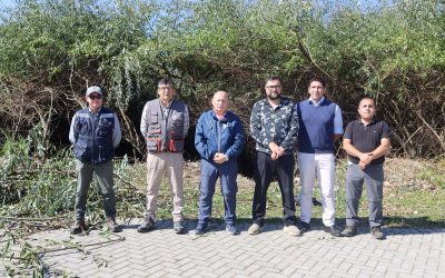 Alcalde Valdivia reveló que se han retirado más de 3 toneladas de basura del humedal urbano de Panguipulli