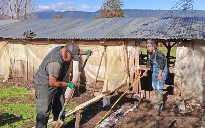 Capacitación en terreno para fortalecer la agricultura familiar campesina